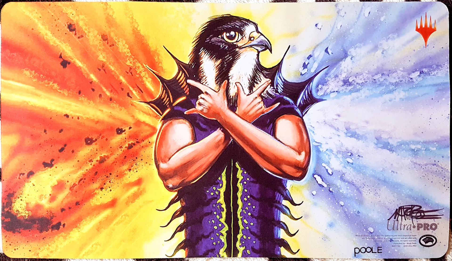 Thumbnail 1