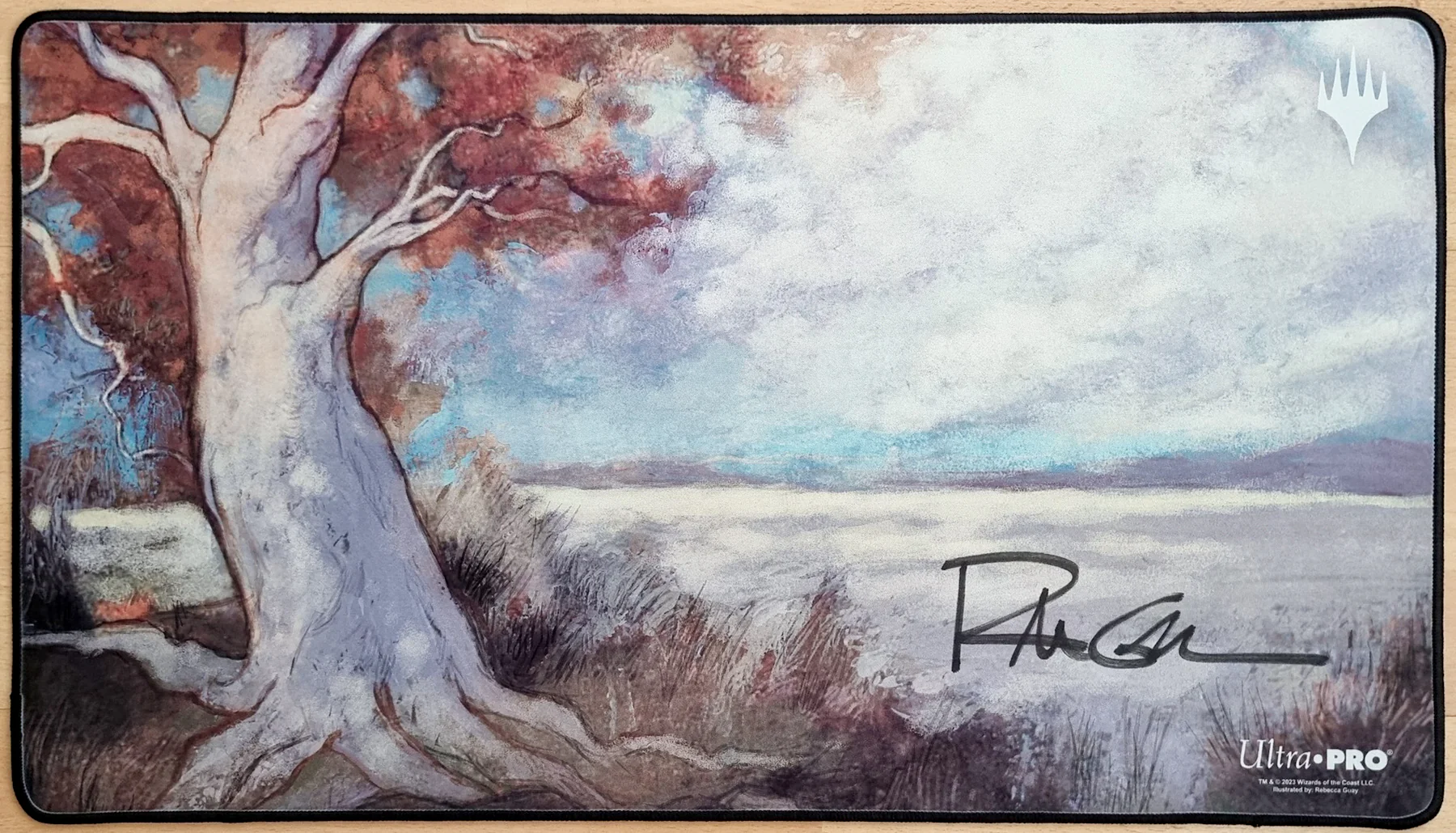 Thumbnail 1